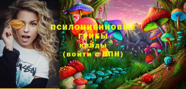 гидропоника Абаза