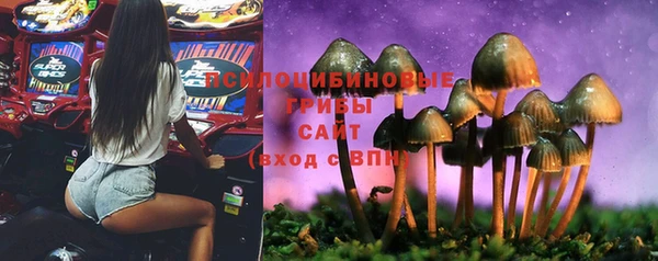 гидропоника Сатка