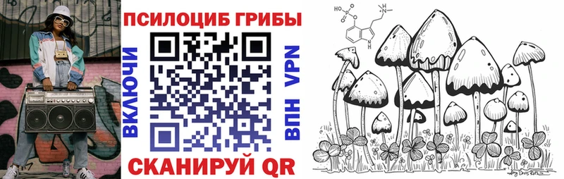 купить закладку Анадырь Галлюциногенные грибы MAGIC MUSHROOMS